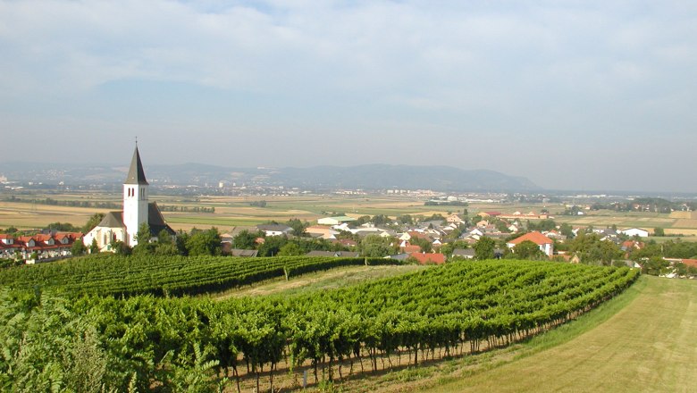 Blick über Stetten, © Gemeinde Stetten Blick auf Stetten mit Kirche und Weinbergen im Vordergrund.
