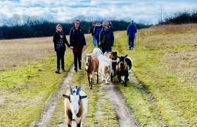 Die Meckerei, © Die Meckerei Menschen spazieren mit Ziegen auf einem Feldweg.
