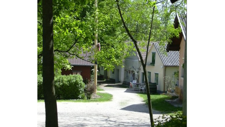 Kellergasse, © Gemeinde Leitzersdorf Eine idyllische Kellergasse mit kleinen Häusern und viel Grün im Frühling.