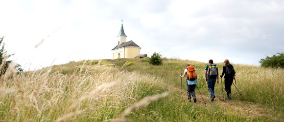 Michelberg - Weinviertler Jakobsweg, © Weinviertel Tourismus / Wurnig