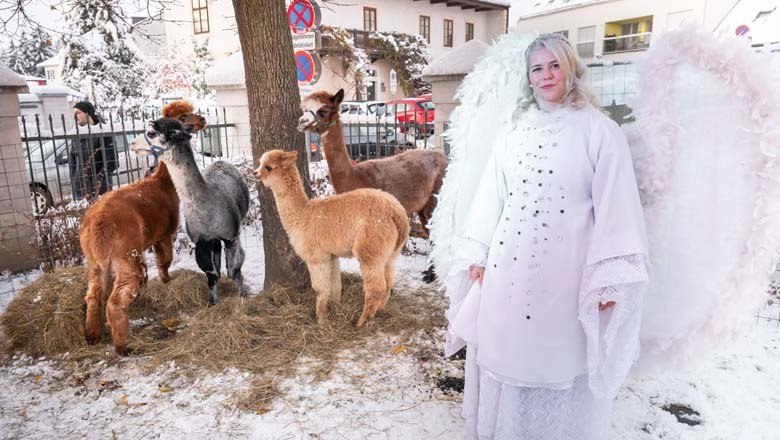 Advent in Stockerau, © Johannes Ehn Advent in Stockerau, © Johannes Ehn