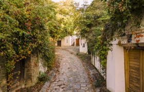 Kellergasse Enzersfeld, © Weinstraße Weinviertel Süd / Robert Herbst