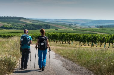 Pilgergenuss, © Weinviertel Tourismus / Reinhard Mandl