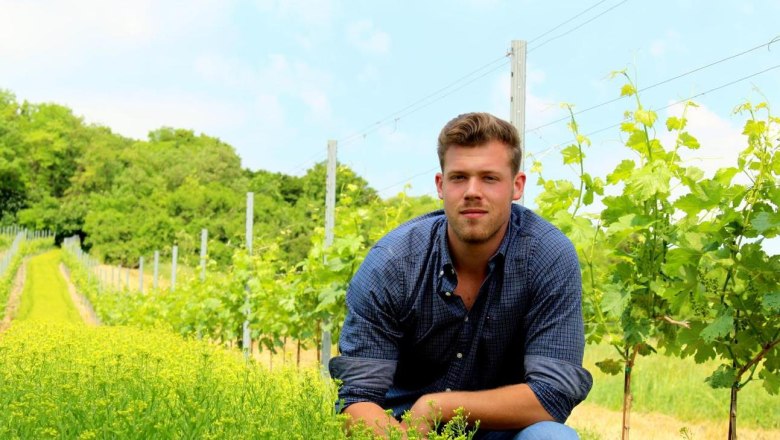 Ein Mann kniet in einem Weinberg neben grünen Reben und gelben Blumen.