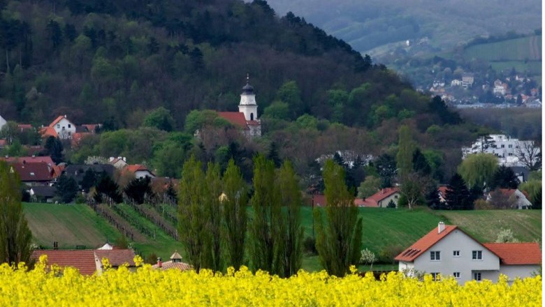 Landschaft mit gelbem Rapsfeld, Dorf und Kirche vor bewaldetem H&uuml;gel.