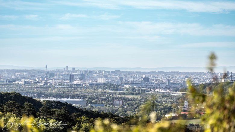 Personal Dog Zone, &copy; Brigitte Gradwohl/Sandra Dorfner-R&ouml;sel