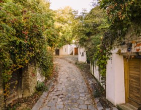 Kellergasse Enzersfeld, © Weinstraße Weinviertel Süd / Robert Herbst