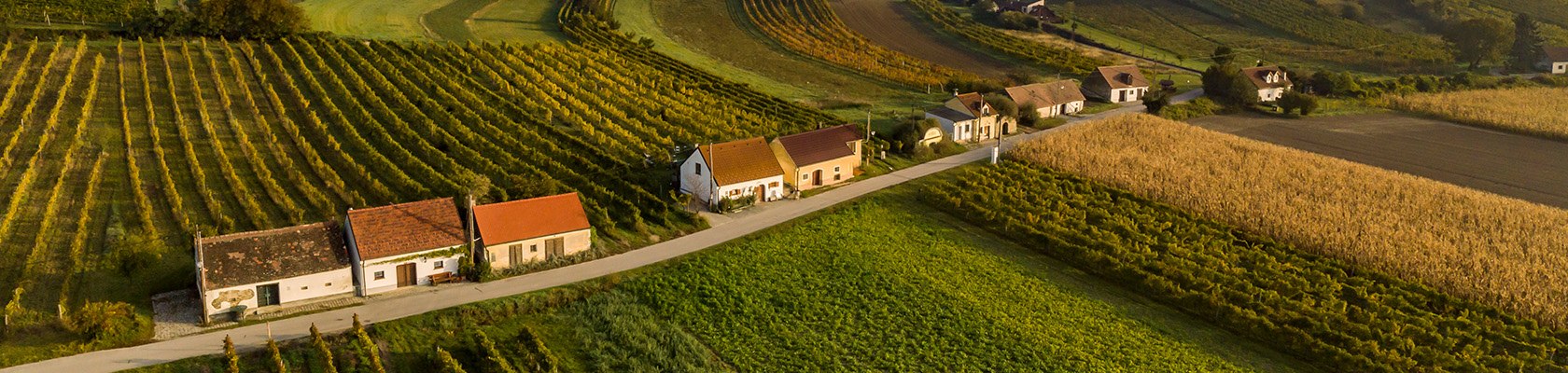 Kellergasse in Enzersfeld, © Weinstraße Weinviertel Süd / Robert Herbst