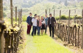 In die Grean gehen, © Weinviertel Tourismus / Bartl