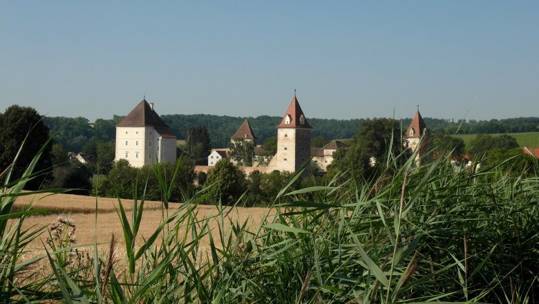 Schloss mit T&uuml;rmen hinter einem Feld und hohen Gr&auml;sern.