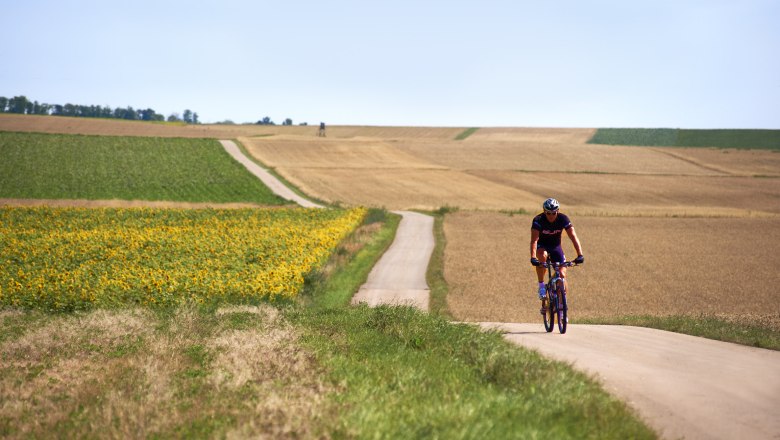 Radfahren, © Weinviertel Tourismus / Schreiner