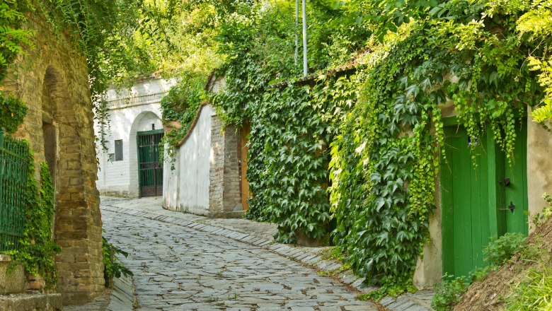 Kellergasse Enzersfeld, © Weinviertel Tourismus / Newman