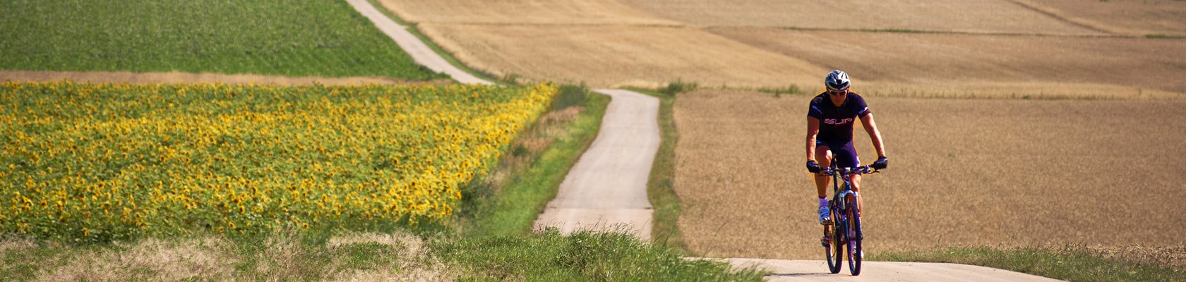 Radrouten sorgen für den perfekten Ausflug, © Weinviertel Tourismus / Schreiner