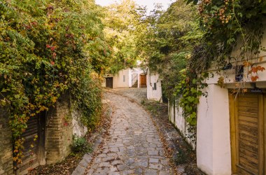 Kellergasse Enzersfeld, © Weinstraße Weinviertel Süd / Robert Herbst