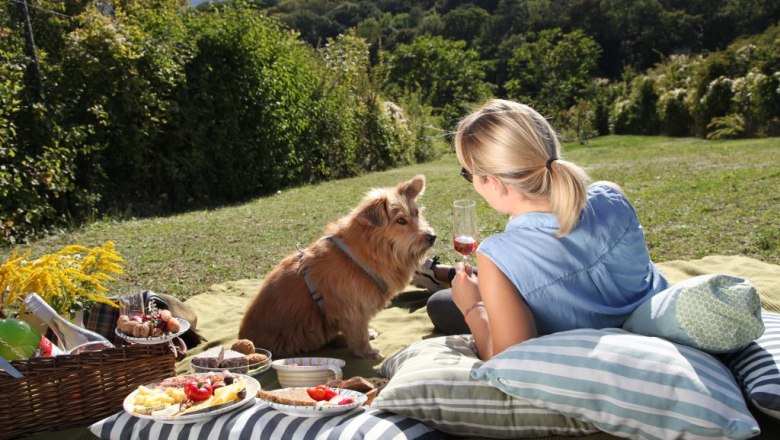 Weinviertler Picknick, &copy; Brigitte Gradwohl/Sandra Dorfner-R&ouml;sel