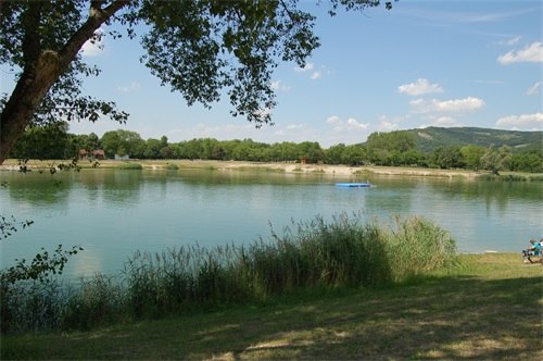 Ein ruhiger See mit Schilf im Vordergrund und bewaldeten Hügeln im Hintergrund.