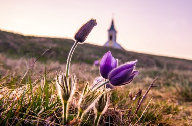 Michelberg, © Niederösterreich Werbung / Robert Herbst