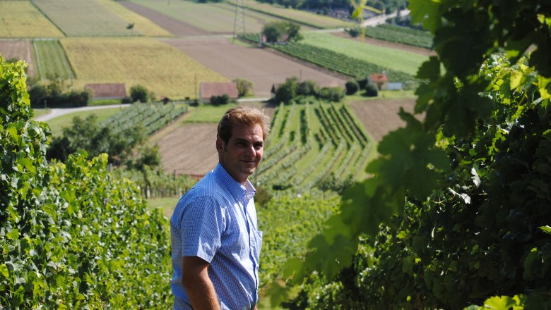 Ein Mann steht in einem Weinberg mit Blick auf die Felder im Hintergrund.