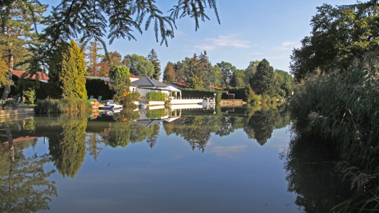 Ein ruhiger Teich mit Spiegelung von B&auml;umen und H&auml;usern im Wasser.